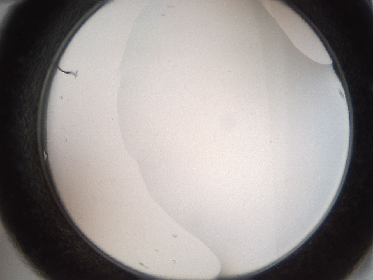 folderID565_plateID2565_batchID13019_wellNum46_profileID1_d2_r195894_ef.jpg