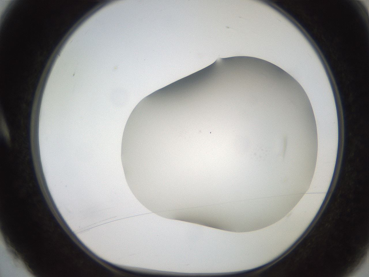 folderID565_plateID2565_batchID13019_wellNum4_profileID1_d1_r194988_ef.jpg