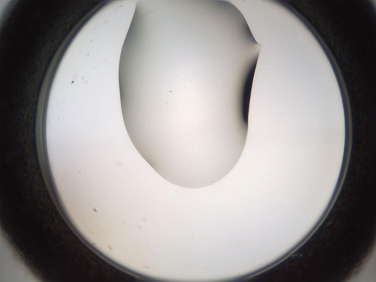 folderID565_plateID2565_batchID13019_wellNum9_profileID1_d2_r195857_ef.jpg