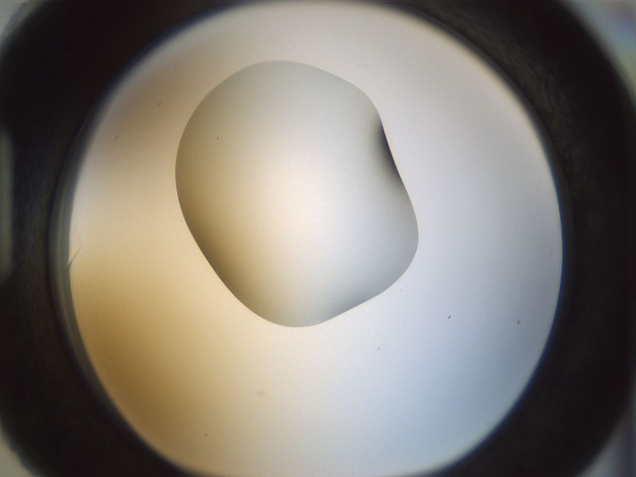 folderID154_plateID1154_batchID3121_wellNum90_profileID1_d1_r61071_ef.jpg