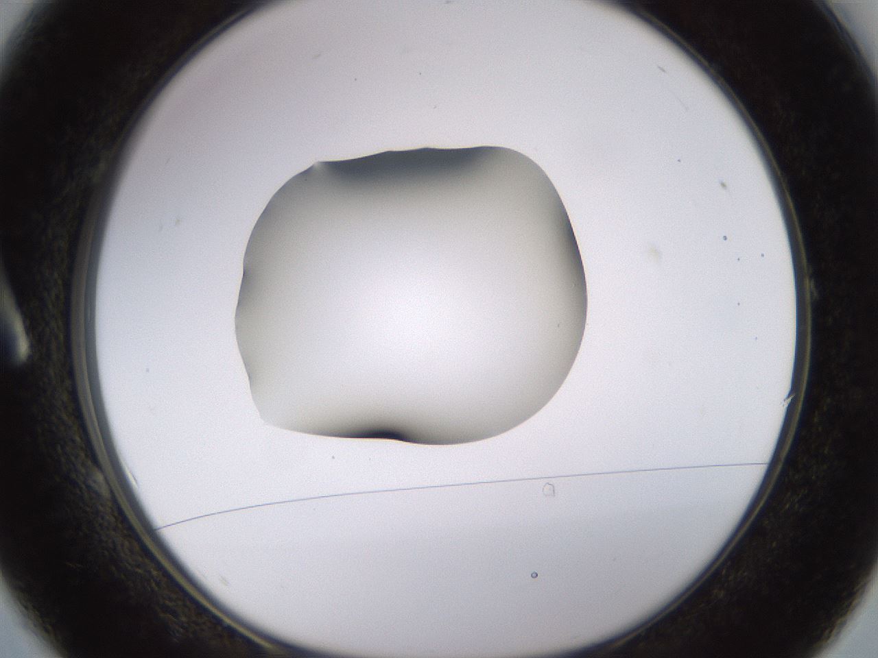 folderID566_plateID1566_batchID6313_wellNum1_profileID1_d1_r102228_ef.jpg