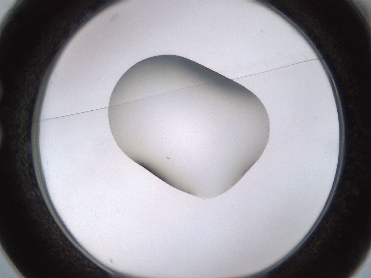folderID566_plateID1566_batchID6313_wellNum25_profileID1_d1_r102252_ef.jpg