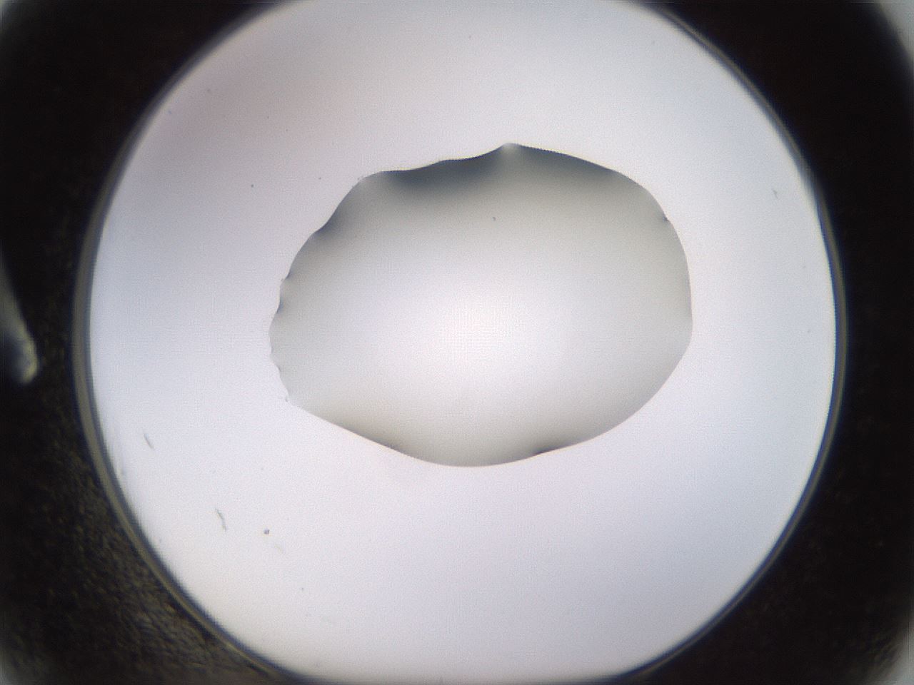 folderID566_plateID1566_batchID6313_wellNum2_profileID1_d1_r102229_ef.jpg