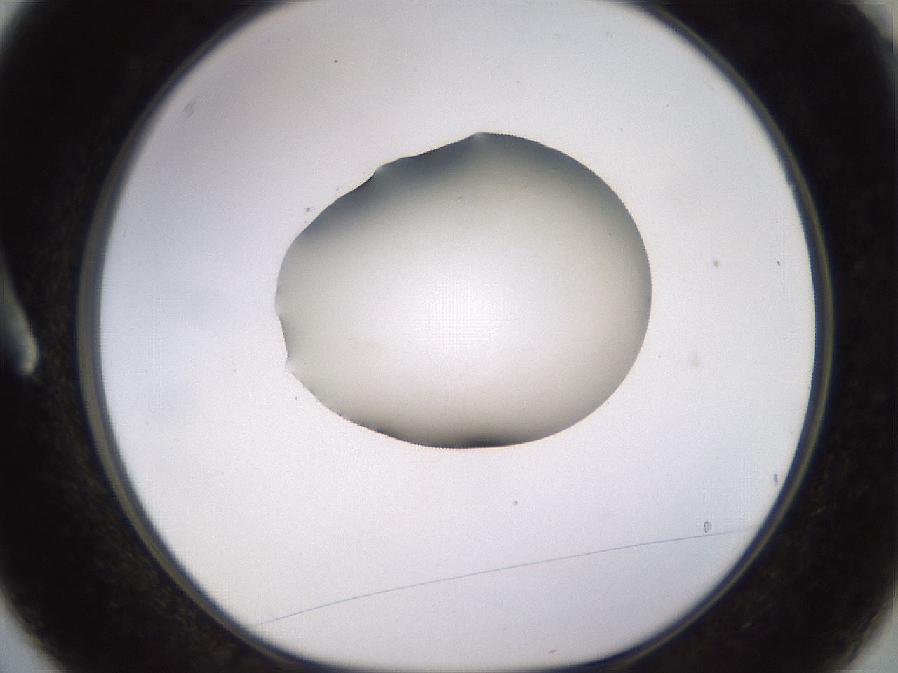 folderID566_plateID1566_batchID6313_wellNum3_profileID1_d1_r102230_ef.jpg