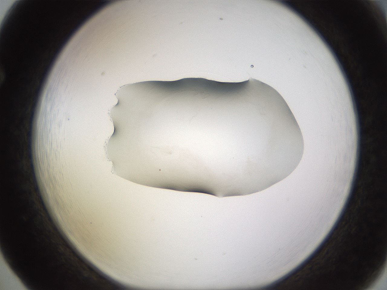 folderID566_plateID1566_batchID6313_wellNum65_profileID1_d1_r102292_ef.jpg