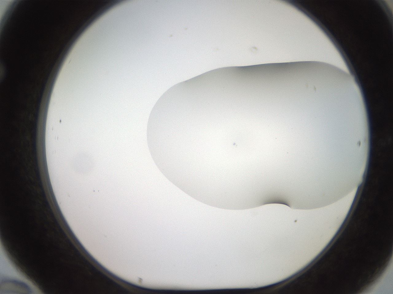 folderID566_plateID2566_batchID12855_wellNum70_profileID1_d1_r195534_ef.jpg