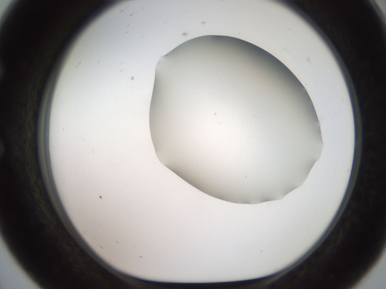 folderID566_plateID2566_batchID12855_wellNum56_profileID1_d1_r195520_ef.jpg