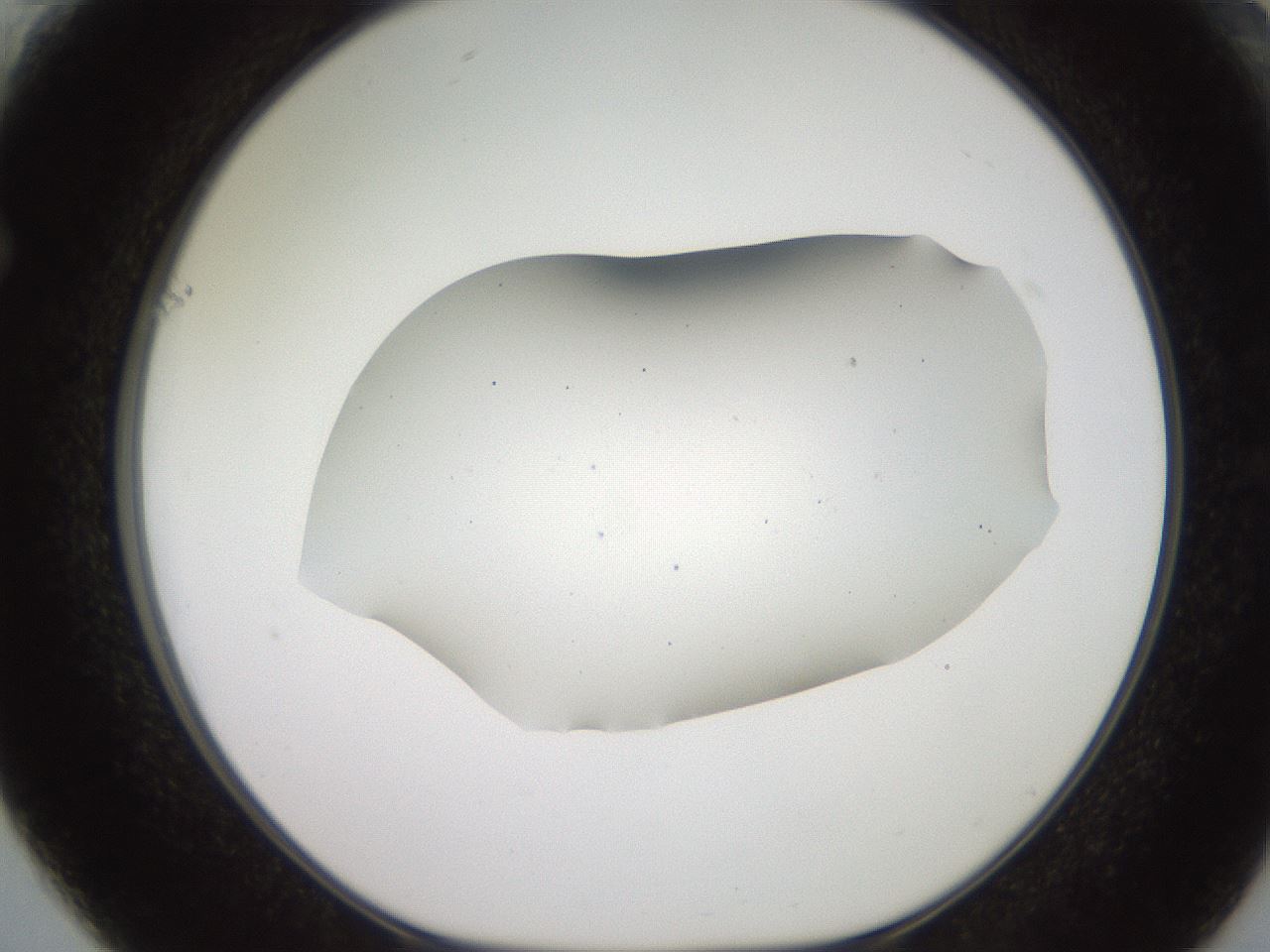 folderID566_plateID2566_batchID12855_wellNum61_profileID1_d1_r195525_ef.jpg