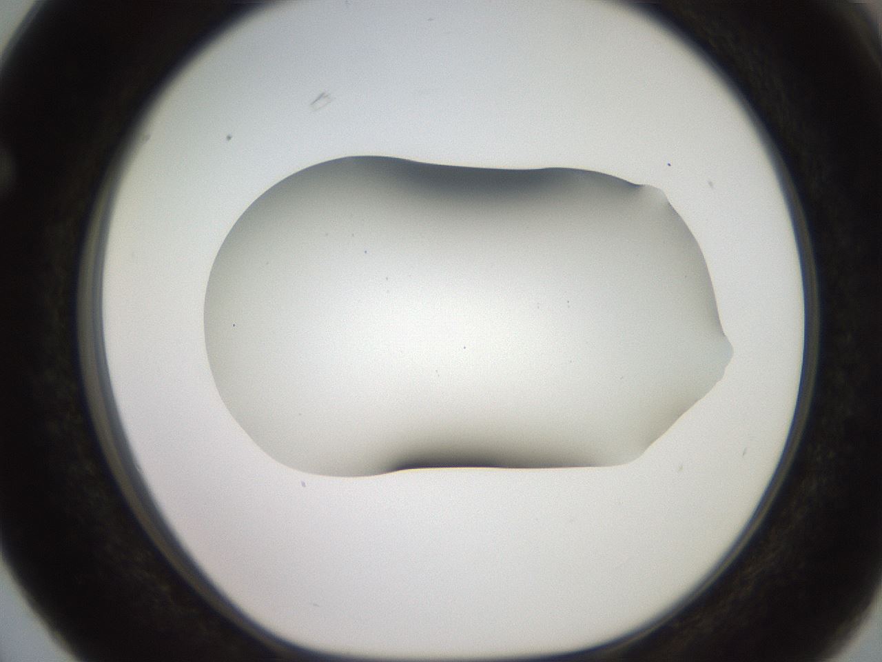 folderID566_plateID2566_batchID12855_wellNum63_profileID1_d1_r195527_ef.jpg