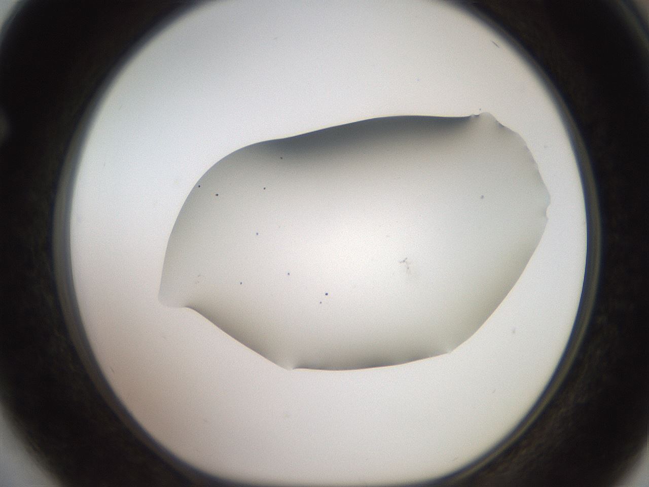 folderID566_plateID2566_batchID12855_wellNum64_profileID1_d1_r195528_ef.jpg