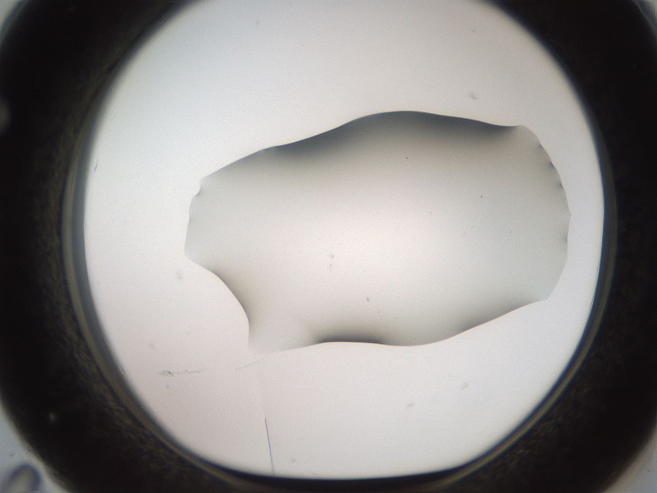 folderID566_plateID2566_batchID12855_wellNum71_profileID1_d1_r195535_ef.jpg