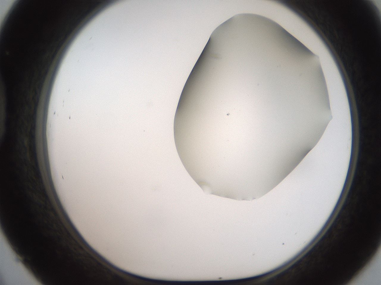 folderID566_plateID2566_batchID13023_wellNum45_profileID1_d1_r195509_ef.jpg