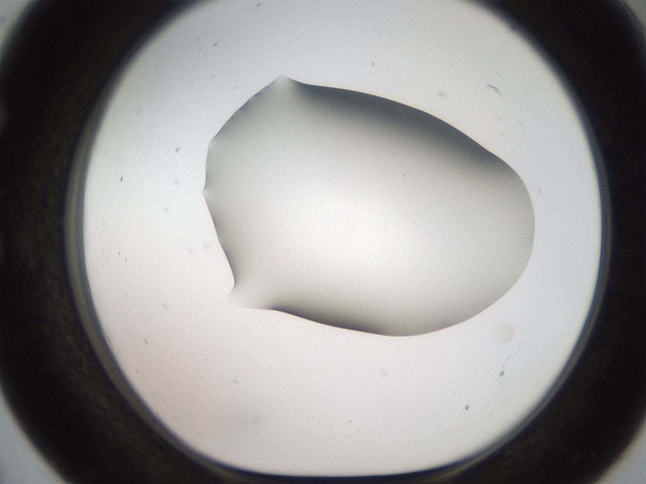folderID566_plateID2566_batchID13023_wellNum55_profileID1_d1_r195519_ef.jpg