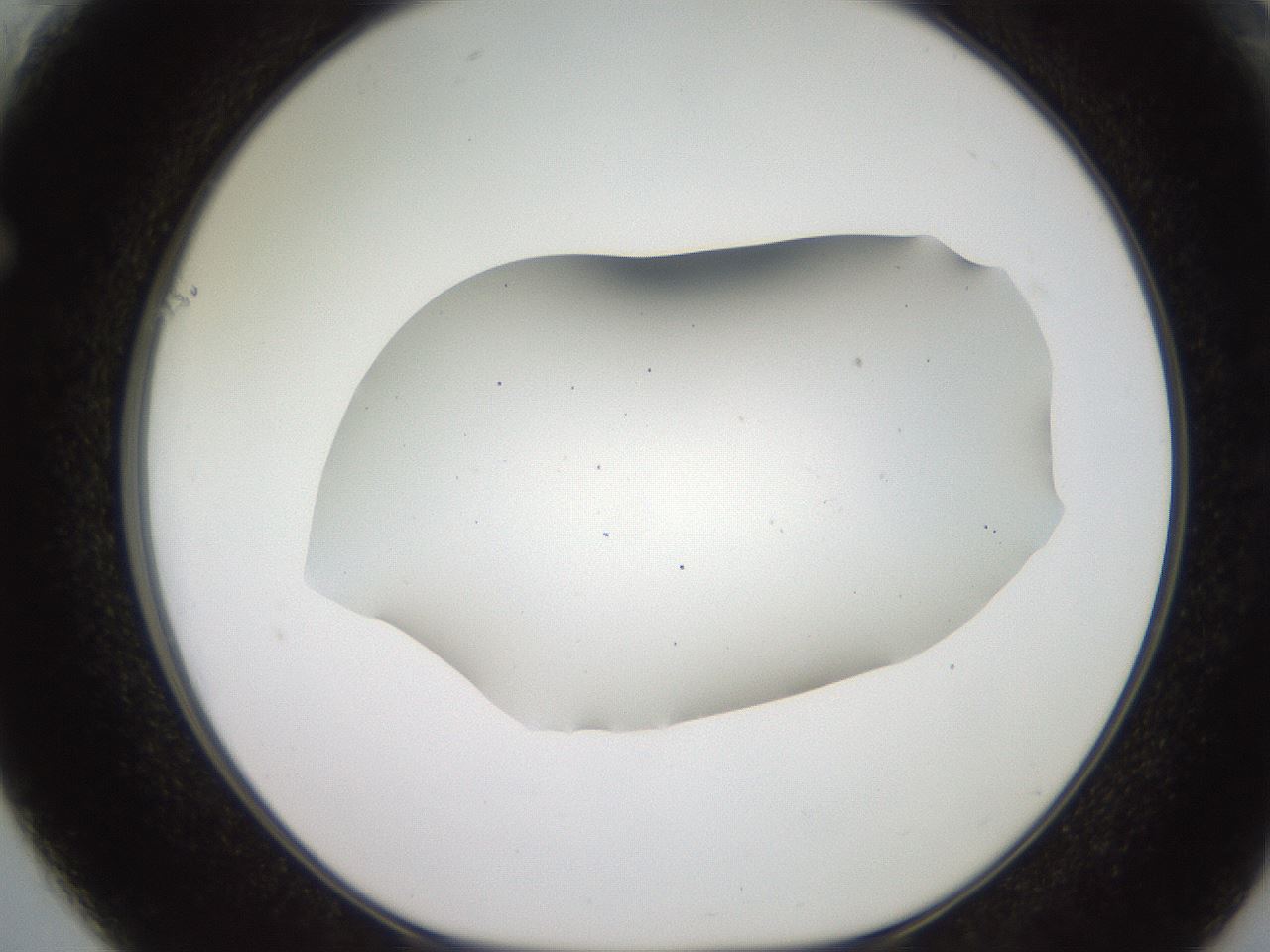 folderID566_plateID2566_batchID13023_wellNum61_profileID1_d1_r195525_ef.jpg