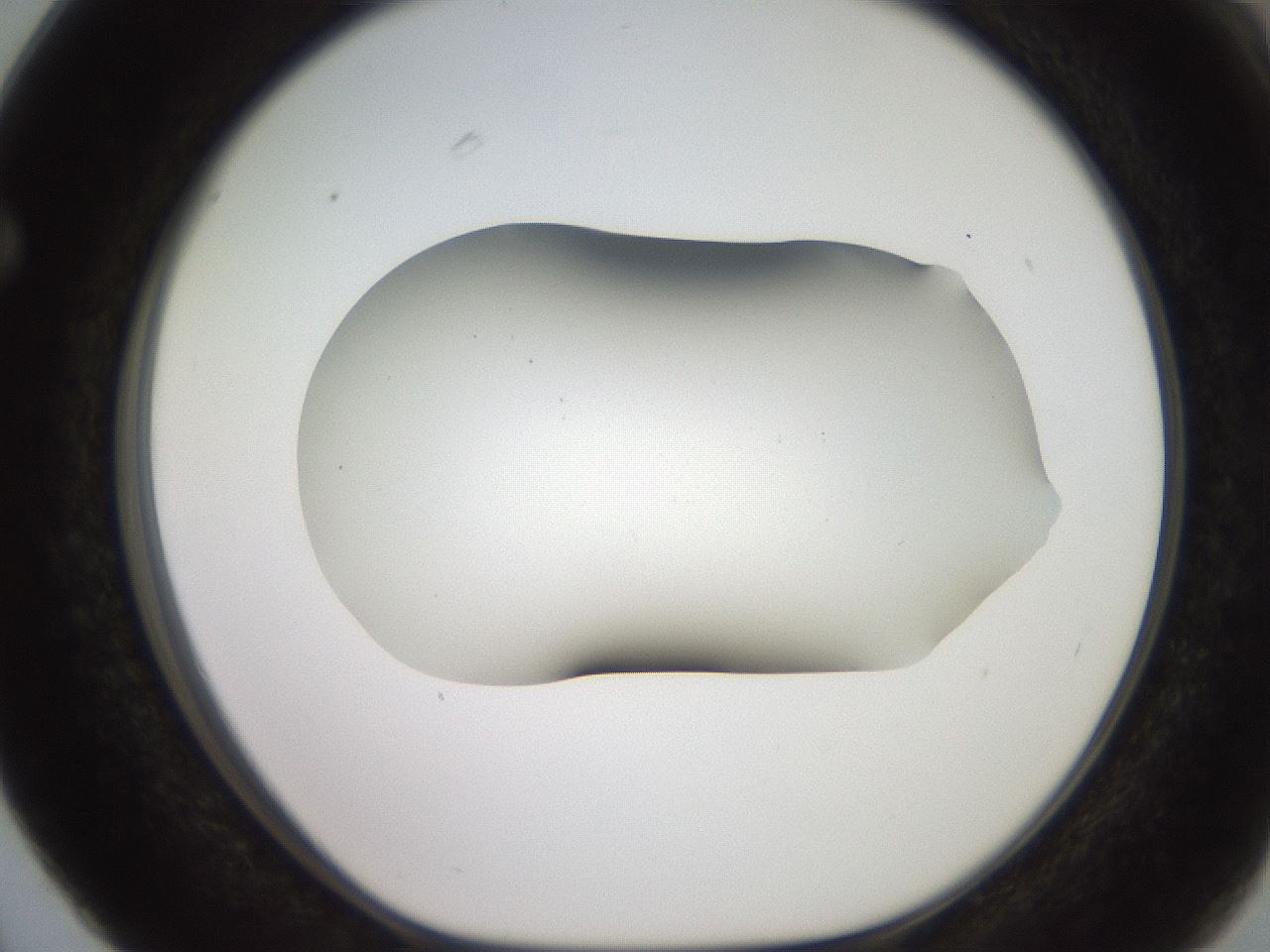 folderID566_plateID2566_batchID13023_wellNum63_profileID1_d1_r195527_ef.jpg