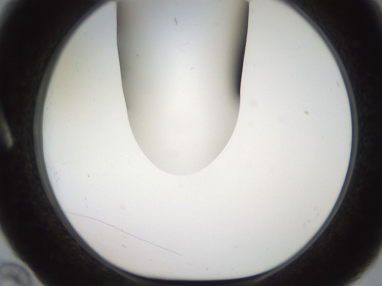 folderID567_plateID2567_batchID12856_wellNum10_profileID1_d1_r195570_ef.jpg