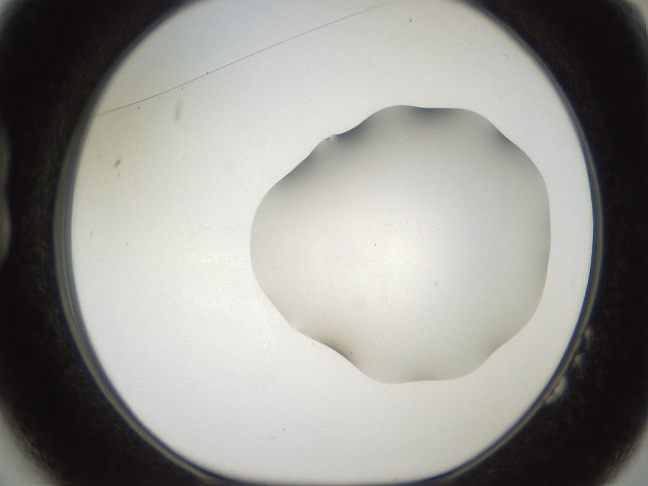 folderID567_plateID2567_batchID12856_wellNum14_profileID1_d1_r195574_ef.jpg