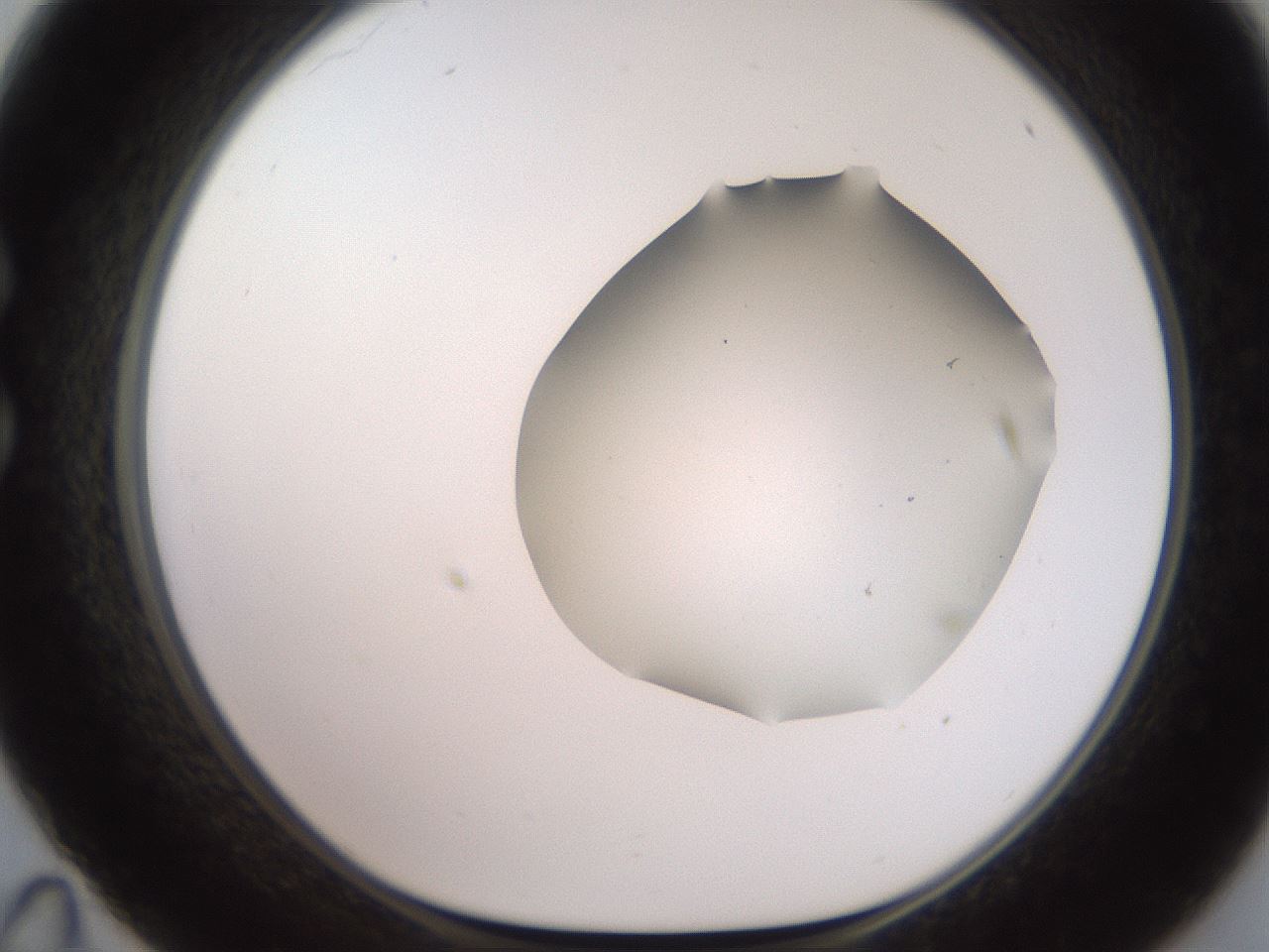 folderID567_plateID2567_batchID12856_wellNum35_profileID1_d1_r195595_ef.jpg