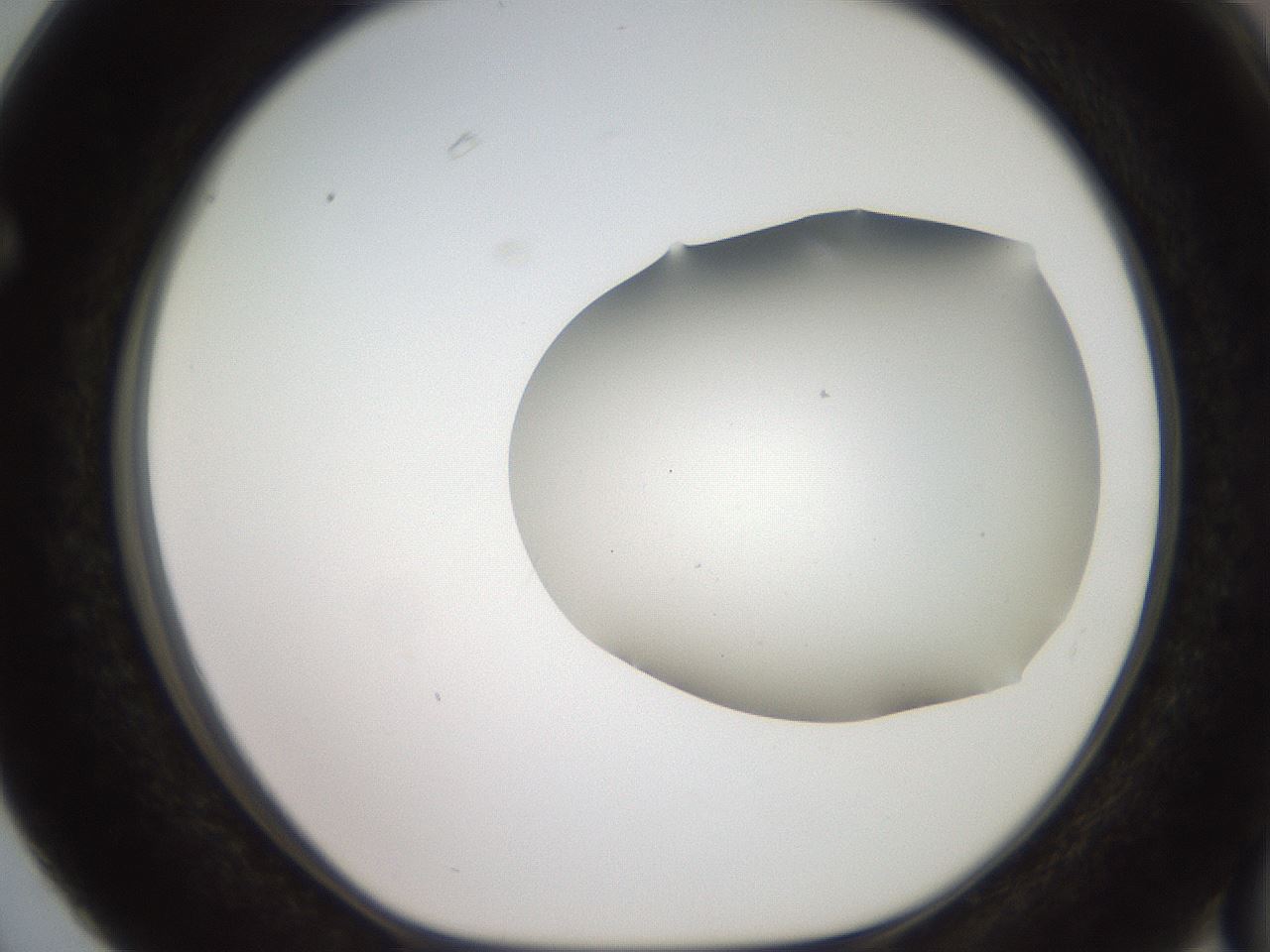 folderID567_plateID2567_batchID12856_wellNum63_profileID1_d1_r195623_ef.jpg