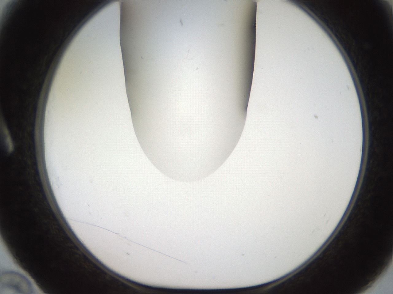 folderID567_plateID2567_batchID13024_wellNum10_profileID1_d1_r195570_ef.jpg