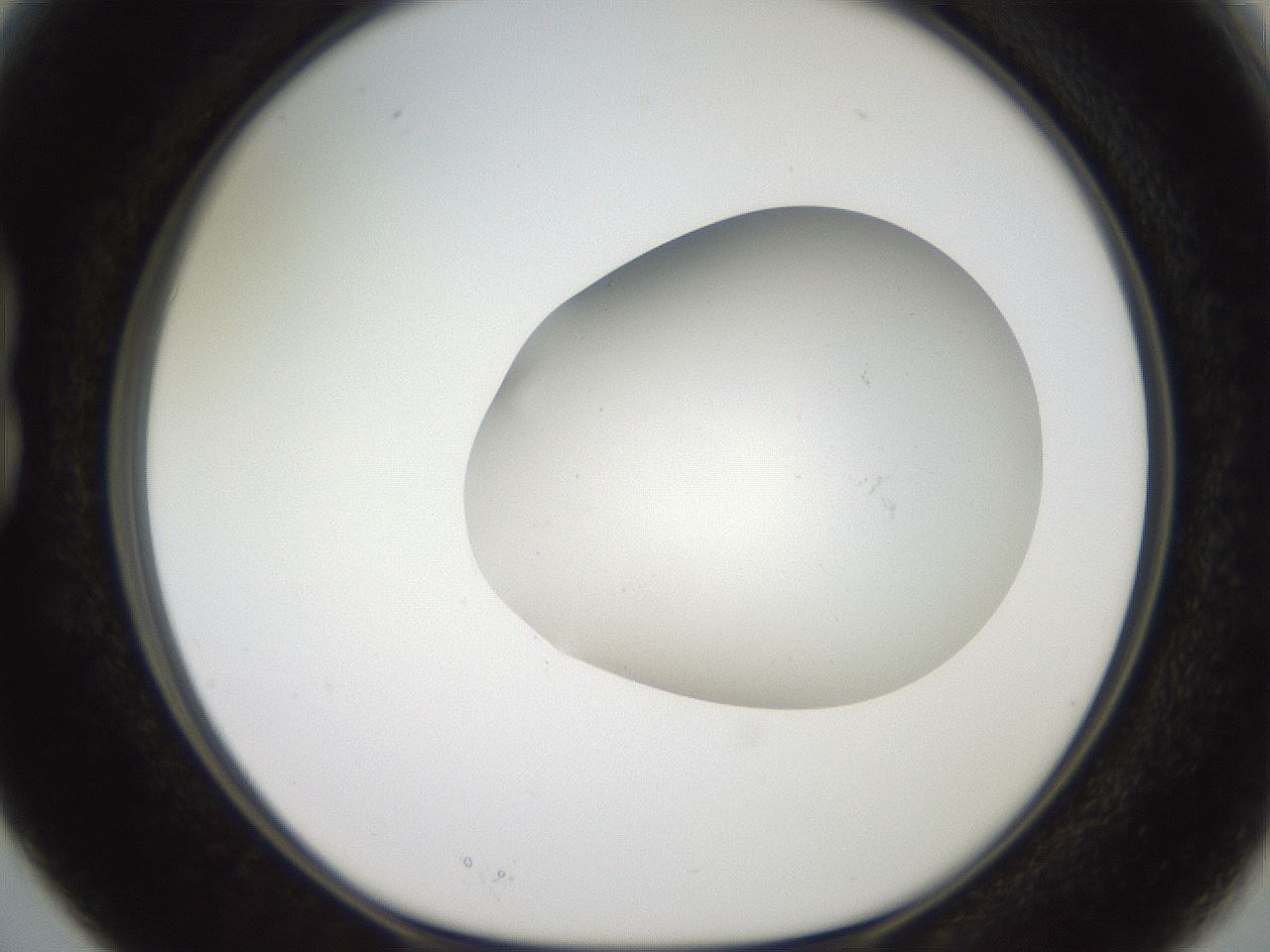 folderID567_plateID2567_batchID13024_wellNum15_profileID1_d1_r195575_ef.jpg