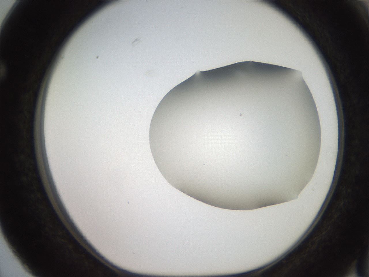 folderID567_plateID2567_batchID13024_wellNum63_profileID1_d1_r195623_ef.jpg