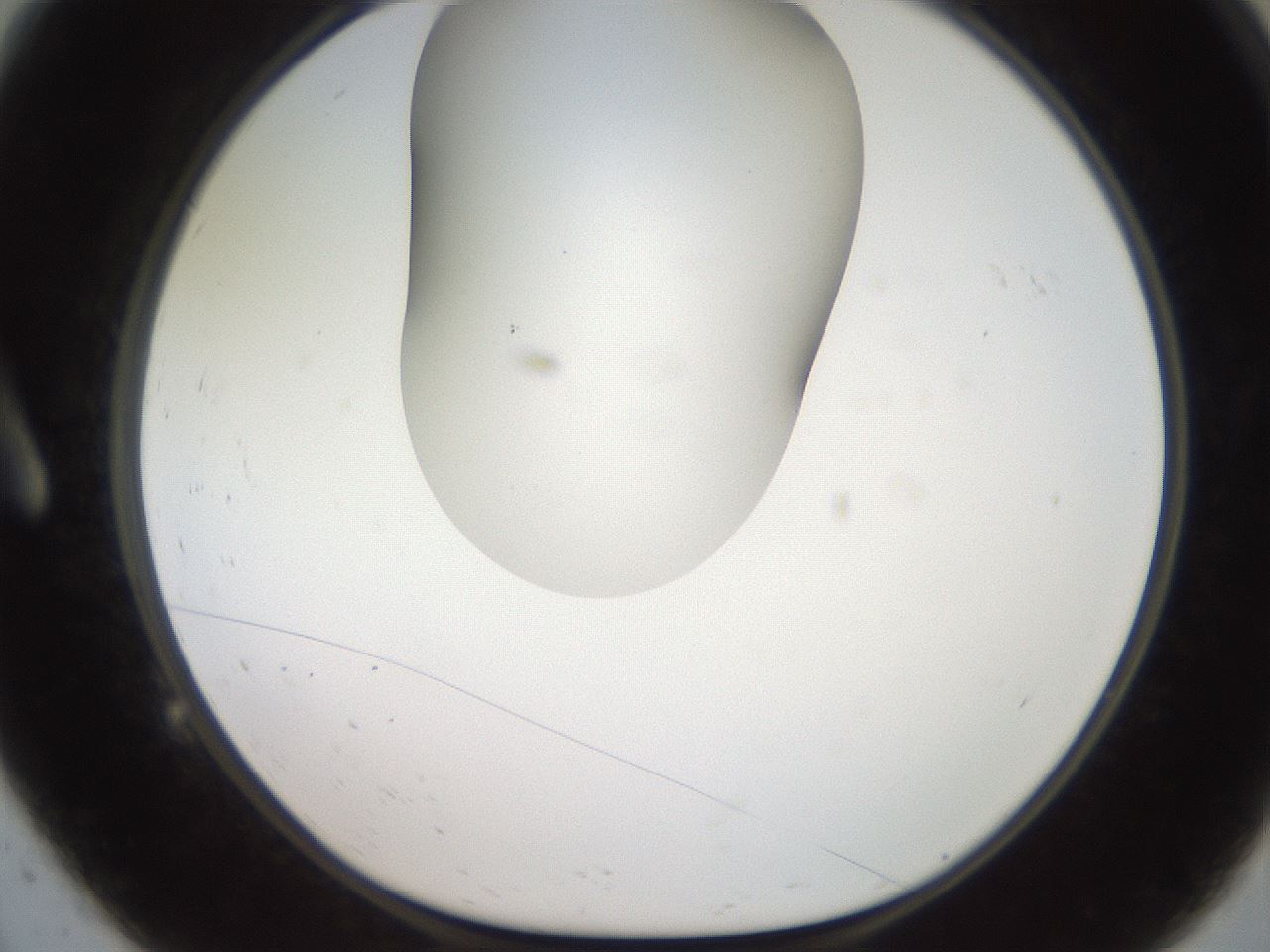 folderID567_plateID2567_batchID12856_wellNum9_profileID1_d1_r195569_ef.jpg