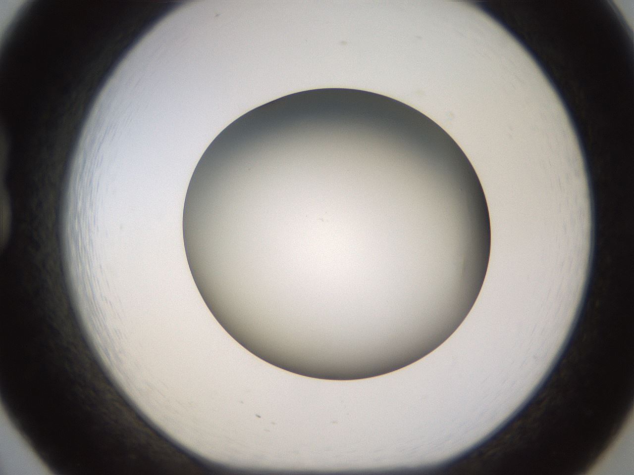 folderID570_plateID1570_batchID6358_wellNum20_profileID1_d1_r102658_ef.jpg