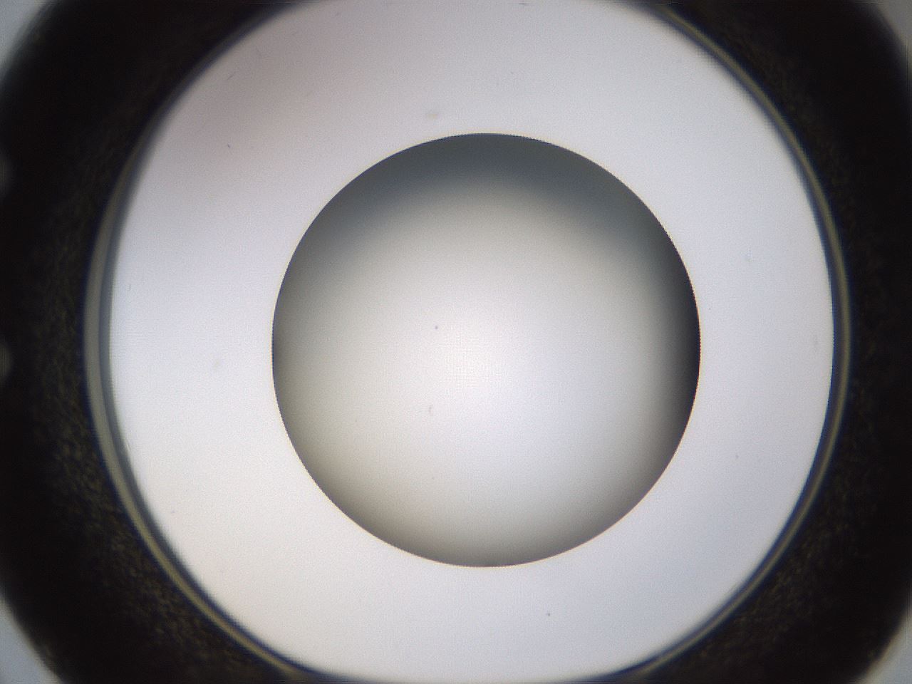 folderID570_plateID1570_batchID6358_wellNum50_profileID1_d1_r102688_ef.jpg