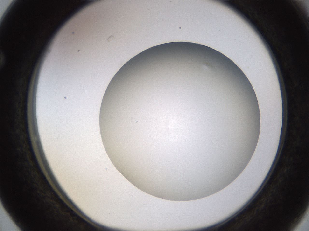 folderID570_plateID1570_batchID6358_wellNum63_profileID1_d1_r102701_ef.jpg