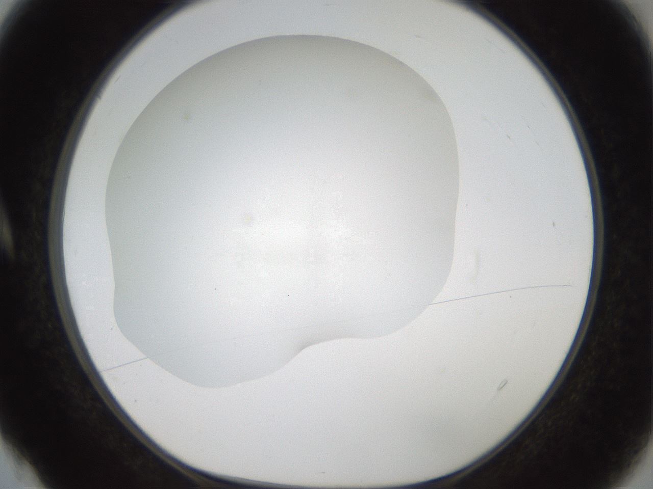 folderID56_plateID2056_batchID9023_wellNum4_profileID1_d1_r138618_ef.jpg
