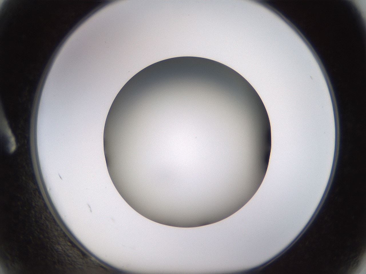 folderID570_plateID1570_batchID6358_wellNum2_profileID1_d1_r102640_ef.jpg