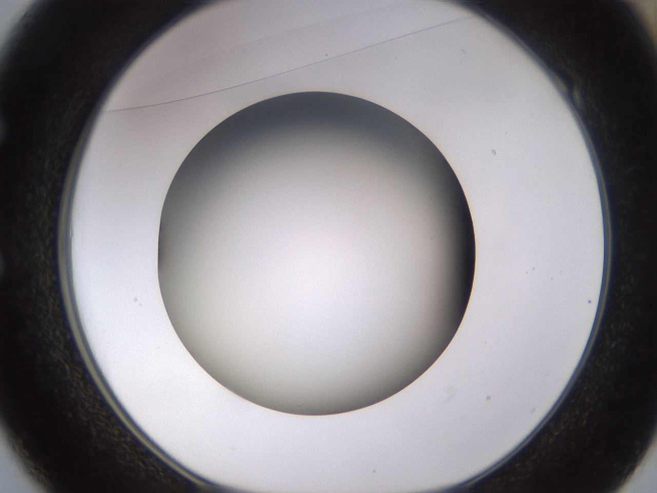 folderID570_plateID1570_batchID6358_wellNum49_profileID1_d1_r102687_ef.jpg