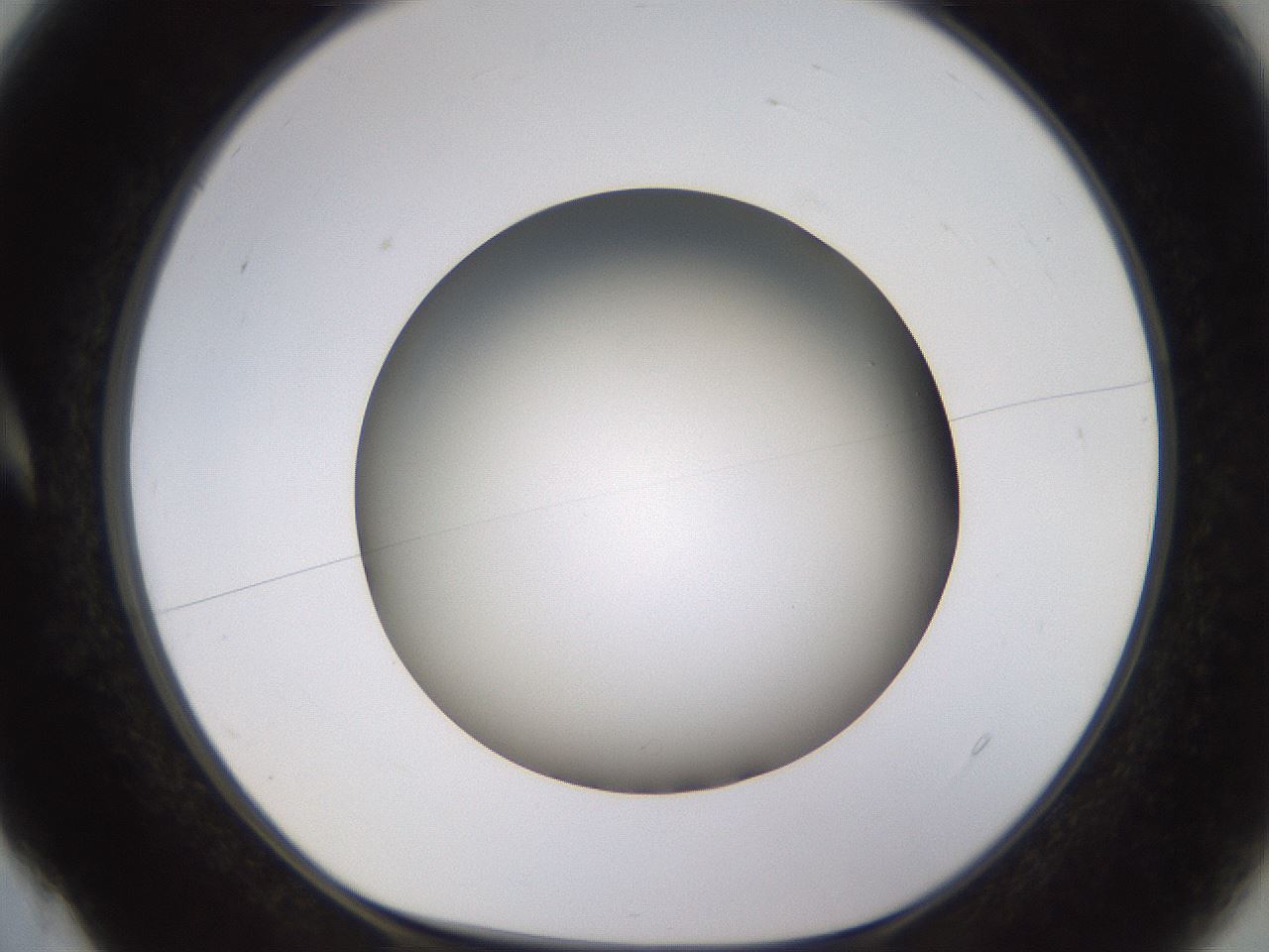 folderID570_plateID1570_batchID6358_wellNum4_profileID1_d1_r102642_ef.jpg