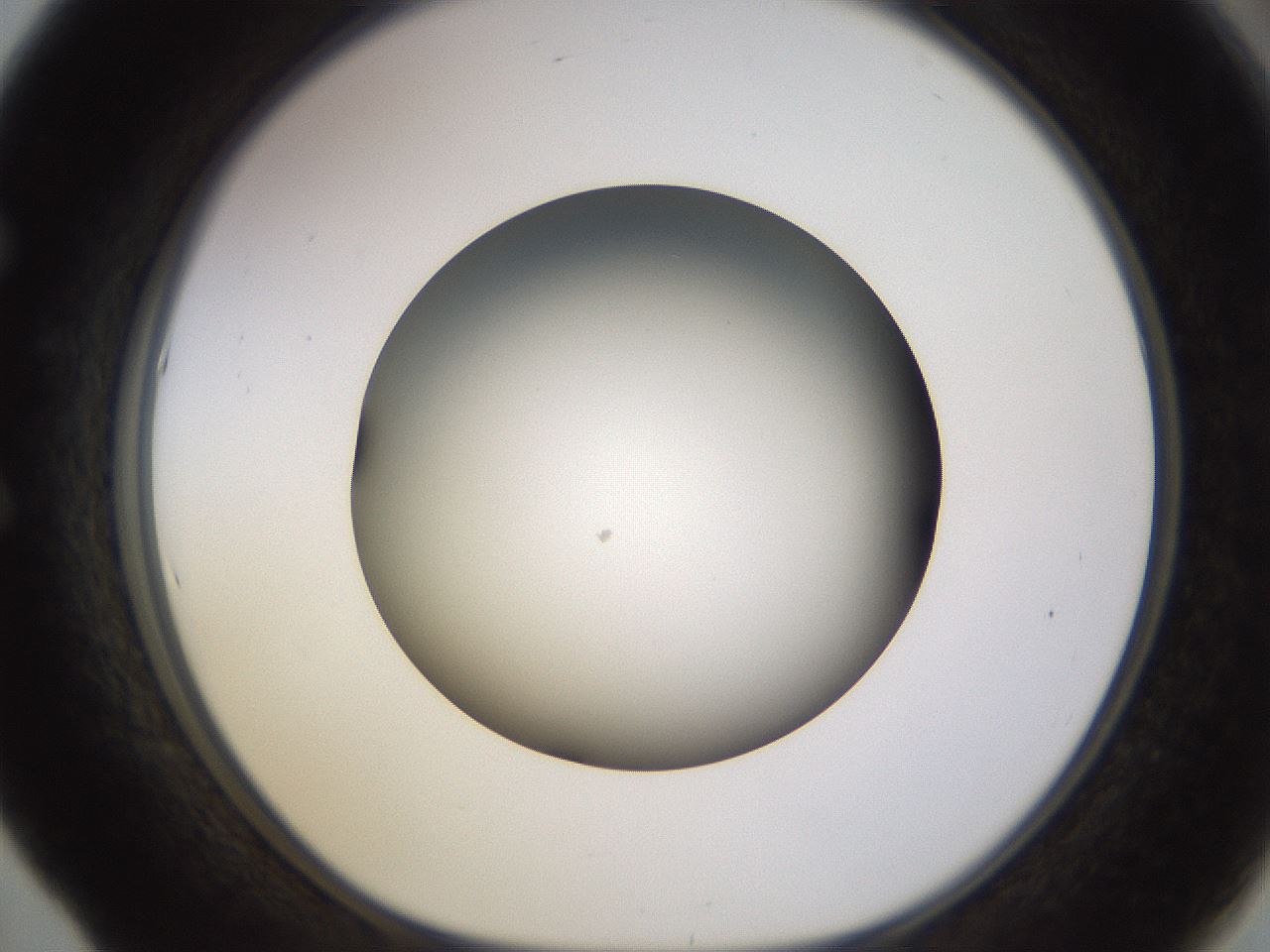 folderID570_plateID1570_batchID6358_wellNum53_profileID1_d1_r102691_ef.jpg