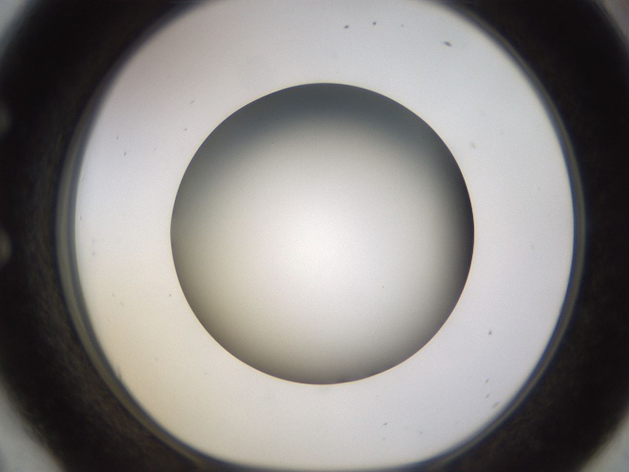 folderID570_plateID1570_batchID6358_wellNum54_profileID1_d1_r102692_ef.jpg