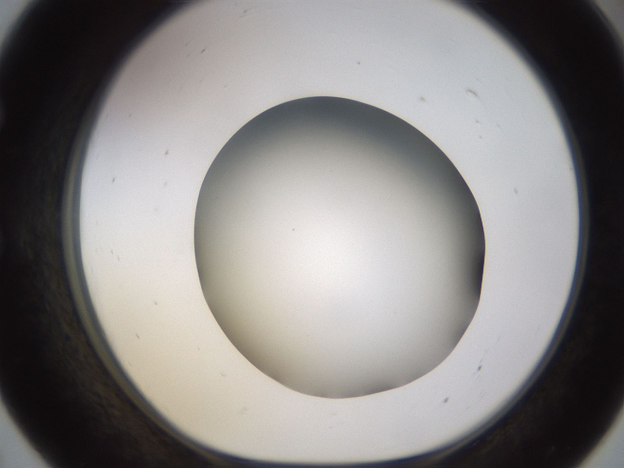 folderID570_plateID1570_batchID6358_wellNum55_profileID1_d1_r102693_ef.jpg