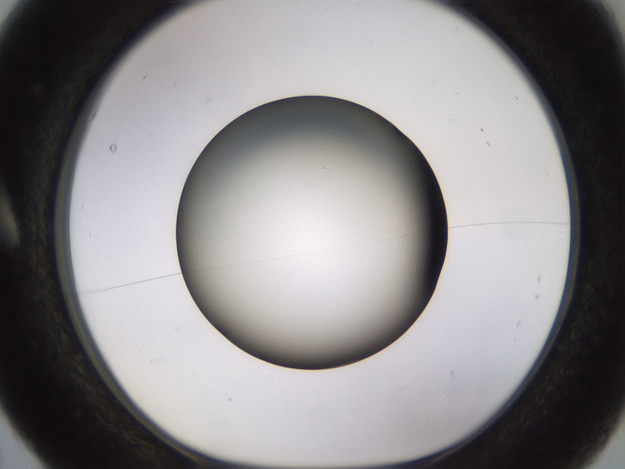 folderID570_plateID1570_batchID6358_wellNum5_profileID1_d1_r102643_ef.jpg