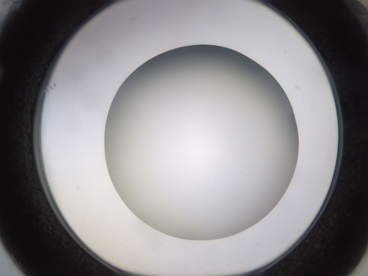 folderID570_plateID1570_batchID6358_wellNum61_profileID1_d1_r102699_ef.jpg