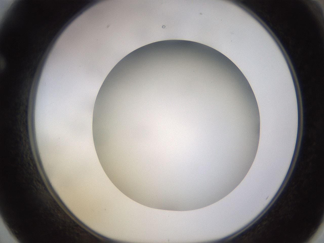 folderID570_plateID1570_batchID6358_wellNum62_profileID1_d1_r102700_ef.jpg