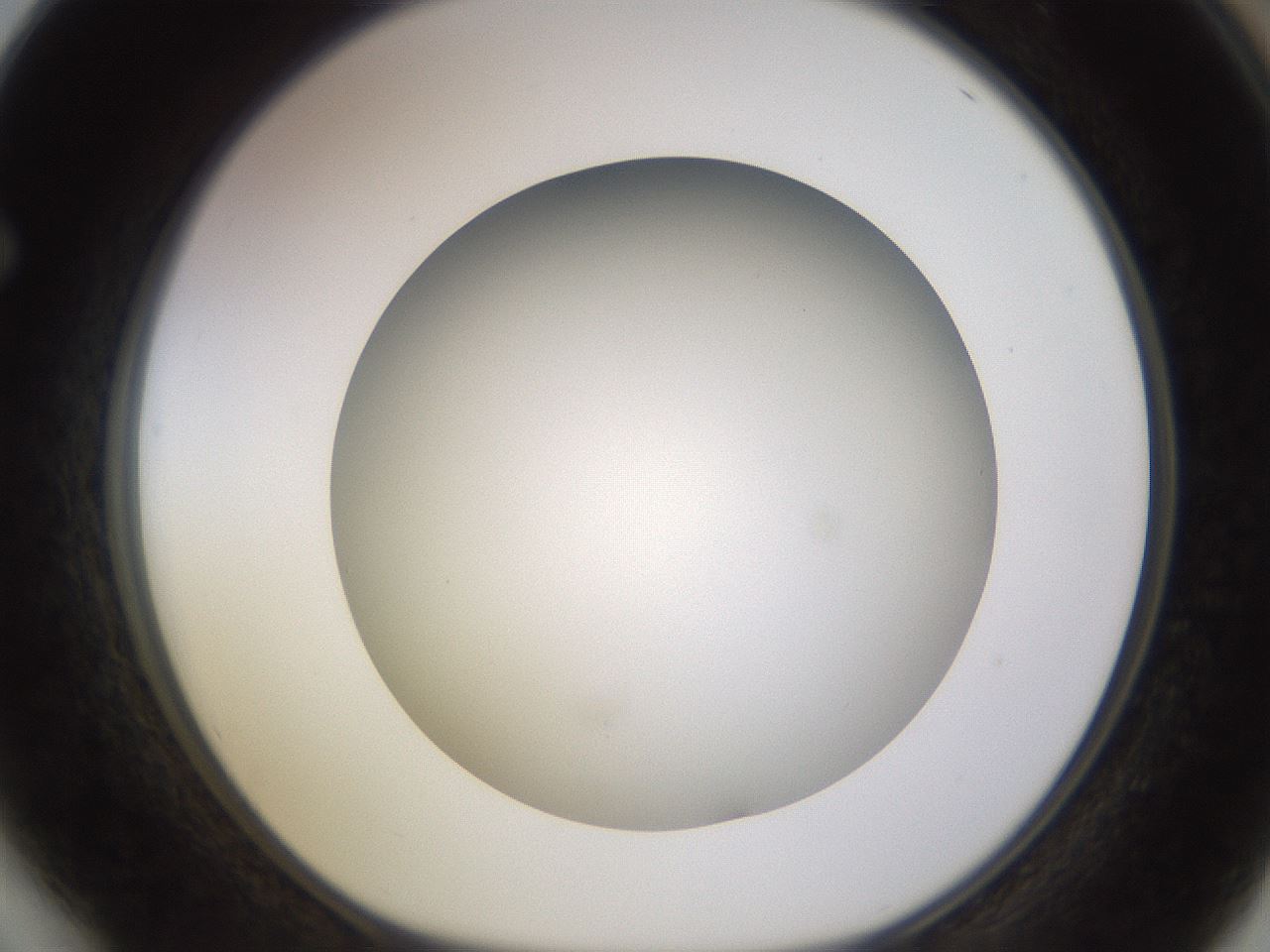 folderID570_plateID1570_batchID6358_wellNum64_profileID1_d1_r102702_ef.jpg