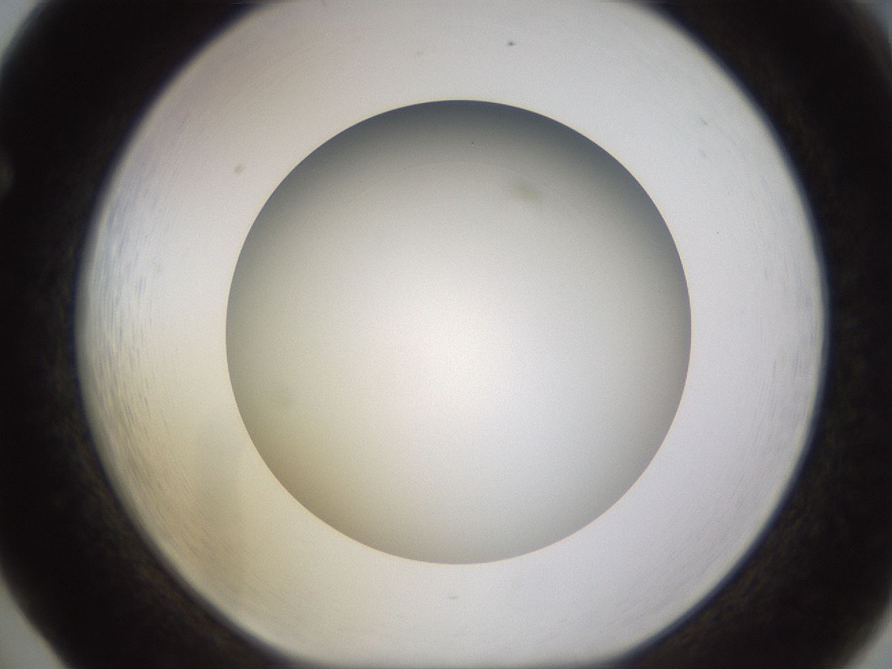 folderID570_plateID1570_batchID6358_wellNum65_profileID1_d1_r102703_ef.jpg