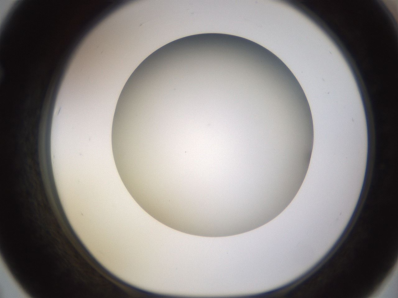 folderID570_plateID1570_batchID6358_wellNum67_profileID1_d1_r102705_ef.jpg