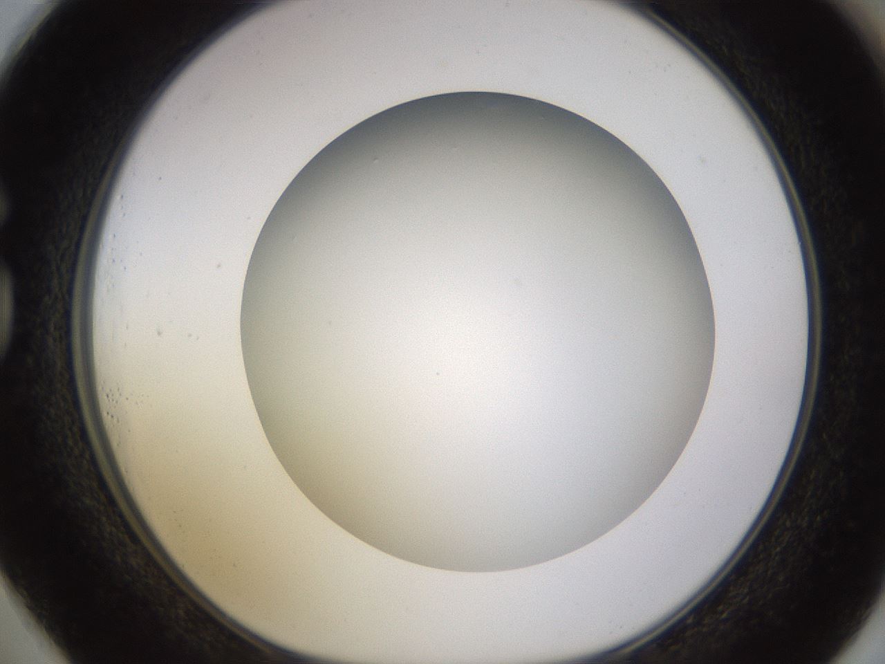 folderID570_plateID1570_batchID6358_wellNum73_profileID1_d1_r102711_ef.jpg