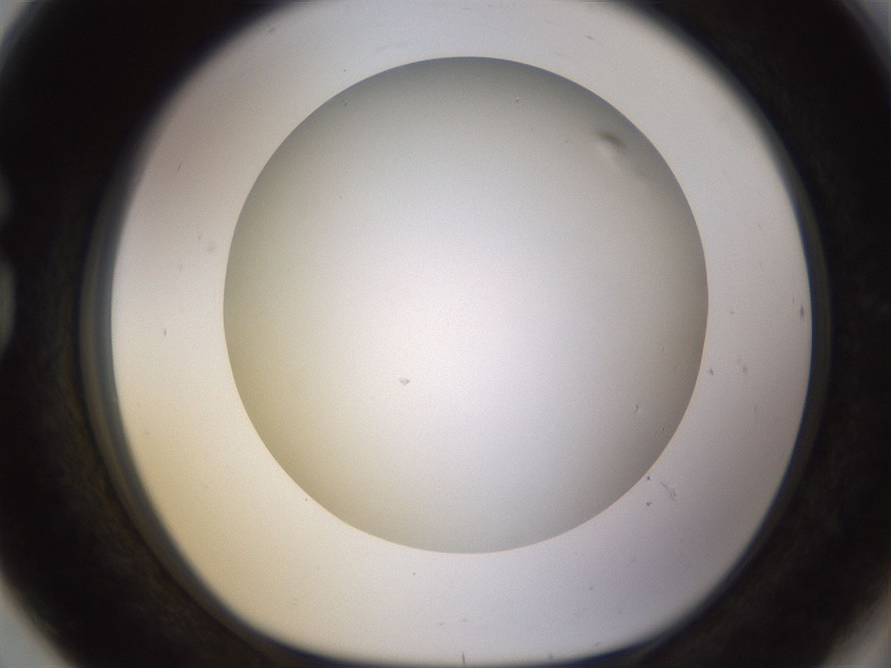 folderID570_plateID1570_batchID6358_wellNum80_profileID1_d1_r102718_ef.jpg
