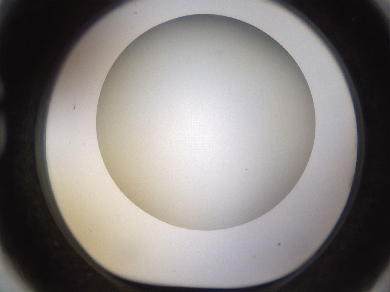 folderID570_plateID1570_batchID6358_wellNum81_profileID1_d1_r102719_ef.jpg
