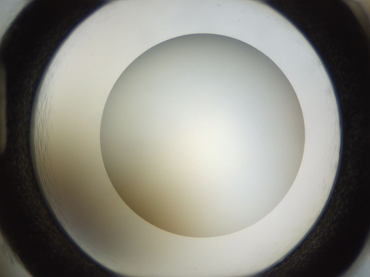 folderID570_plateID1570_batchID6358_wellNum85_profileID1_d1_r102723_ef.jpg