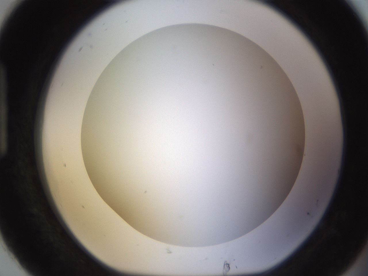 folderID570_plateID1570_batchID6358_wellNum92_profileID1_d1_r102730_ef.jpg