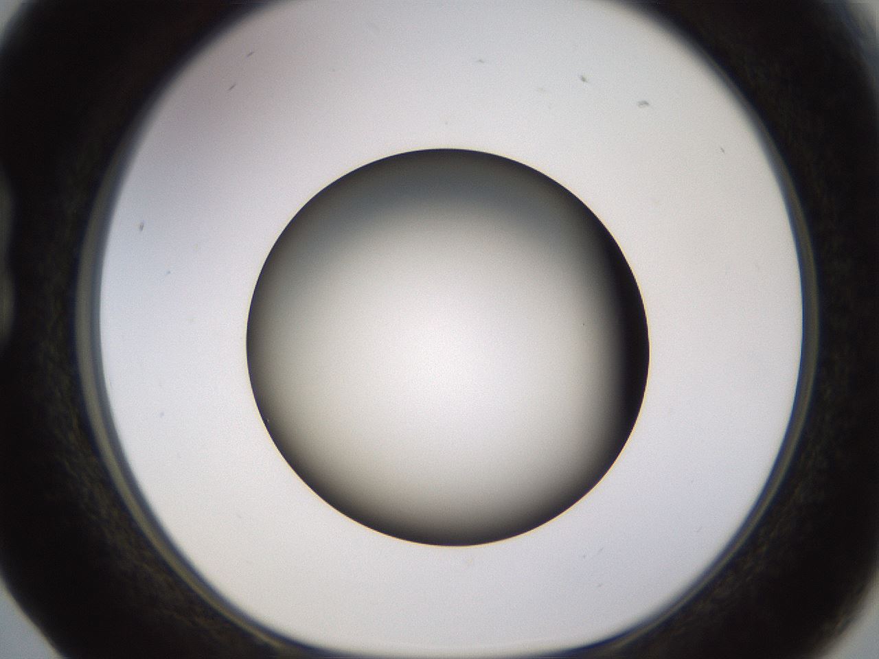 folderID570_plateID1570_batchID6367_wellNum17_profileID1_d1_r102655_ef.jpg
