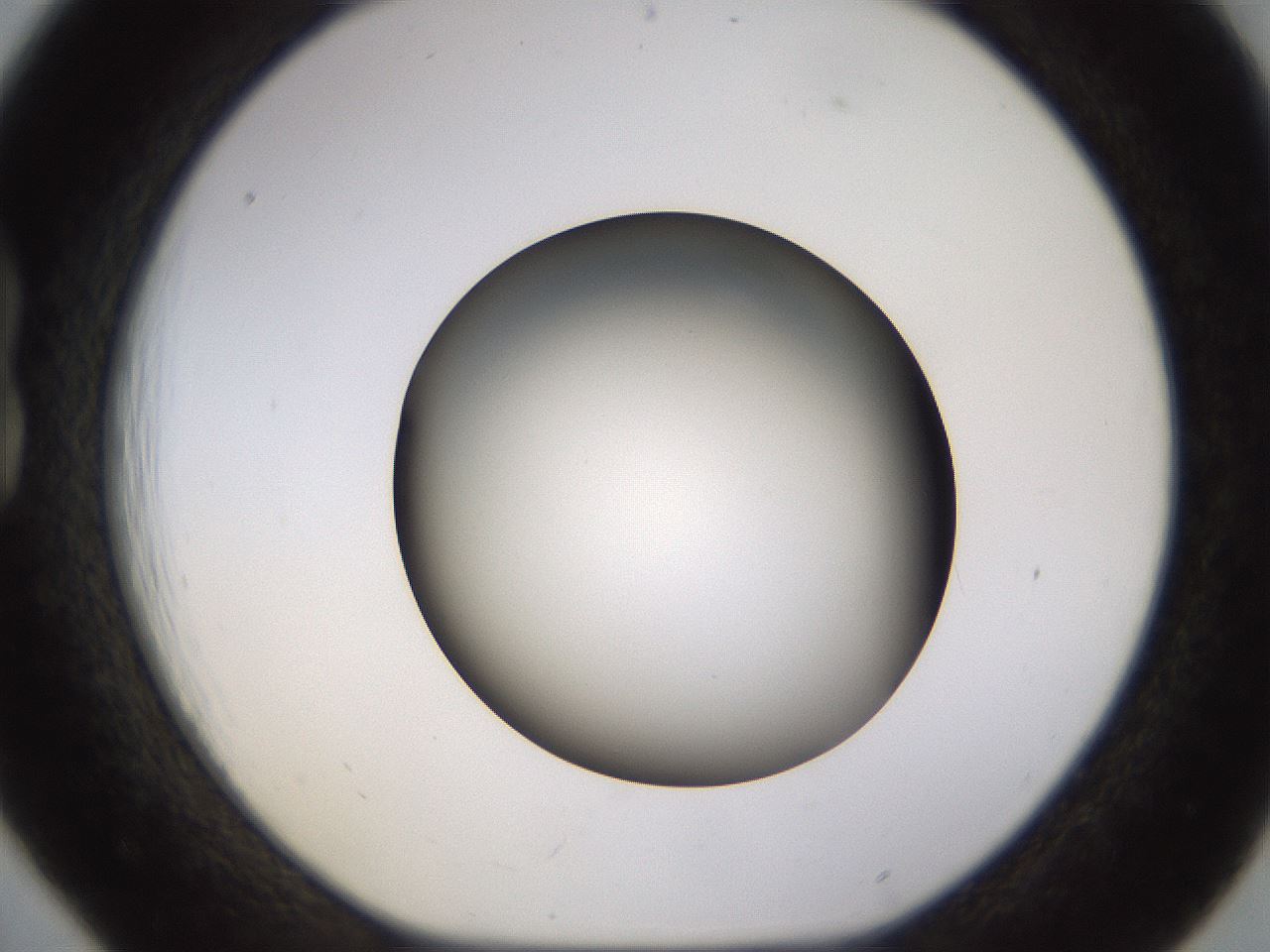 folderID570_plateID1570_batchID6367_wellNum18_profileID1_d1_r102656_ef.jpg